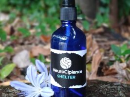 bottle of Wellspring NeuroCipience SHELTER spray on a rock with blue flowers
